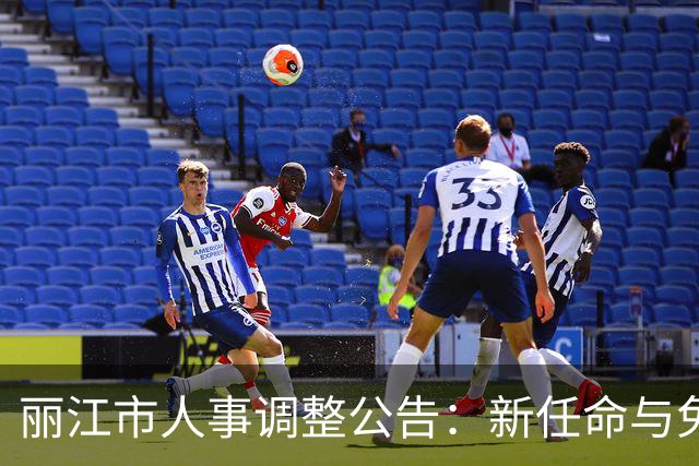 丽江市人事调整公告：新任命与免职信息一览